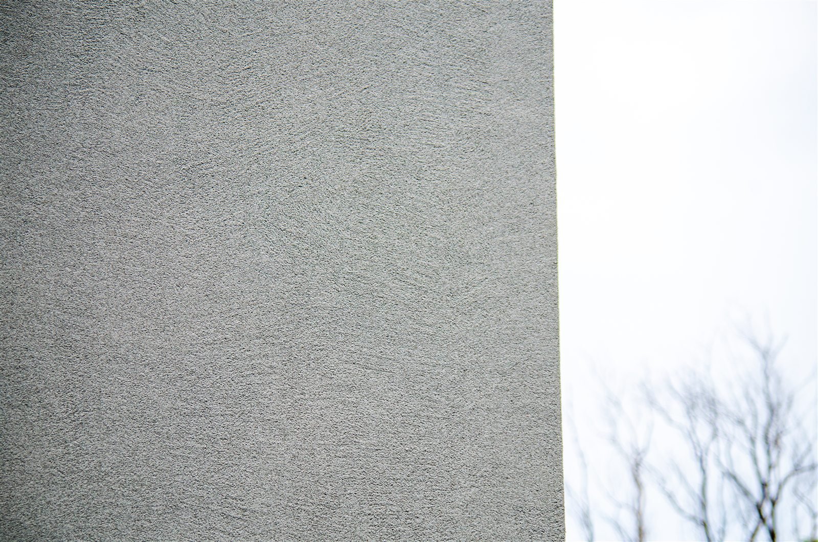 Detailed view of the uniform mineral finish across the institutional facade